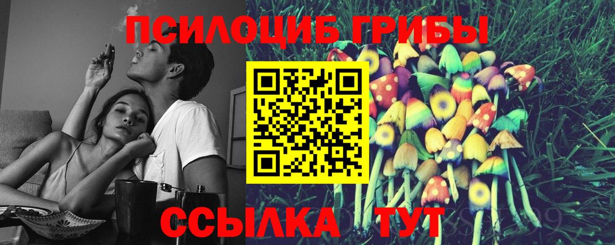 Галлюциногенные грибы MAGIC MUSHROOMS  Вход с VPN  Галлюциногенные грибы прущие грибы  Алексин 