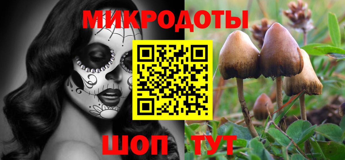 Галлюциногенные грибы Psilocybine cubensis Алексин